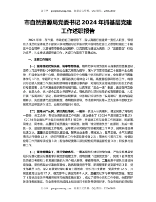 市自然资源局党委书记2024年抓基层党建工作述职报告