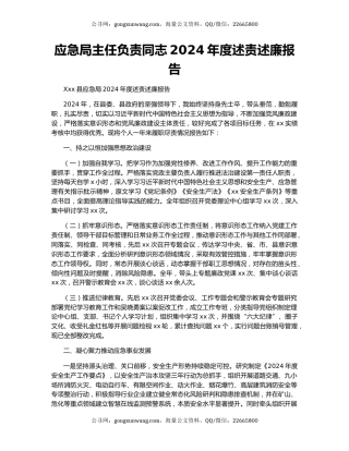 应急局主任负责同志2024年度述责述廉报告