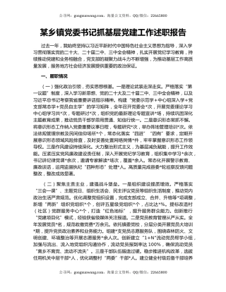 某乡镇党委书记抓基层党建工作述职报告