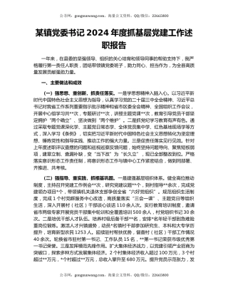 某镇党委书记2024年度抓基层党建工作述职报告