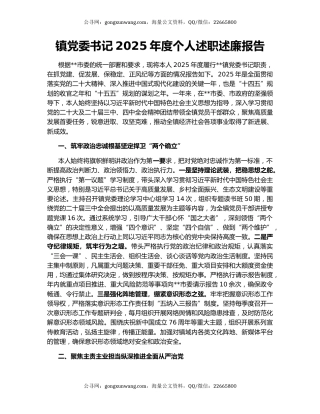 镇党委书记2025年度个人述职述廉报告