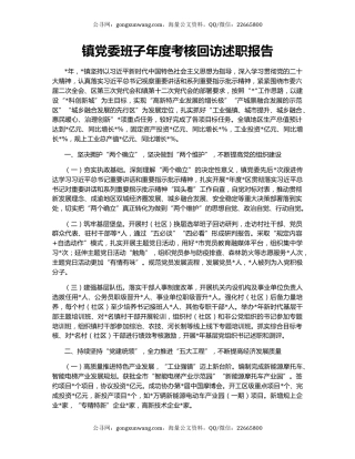 镇党委班子年度考核回访述职报告