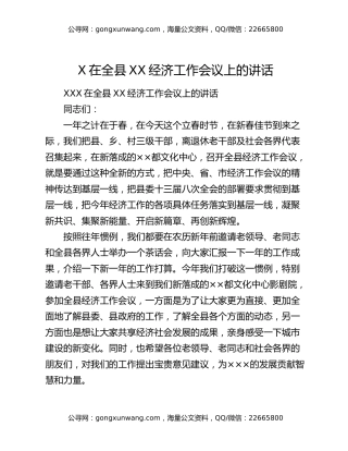 X在全县XX经济工作会议上的讲话