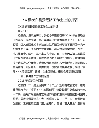 ​XX县长在县委经济工作会上的讲话