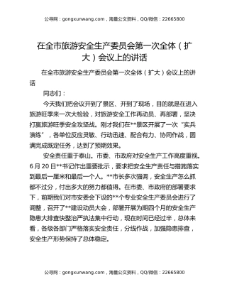 ​在全市旅游安全生产委员会第一次全体（扩大）会议上的讲话