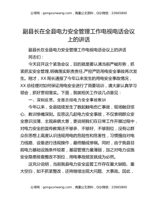 副县长在全县电力安全管理工作电视电话会议上的讲话