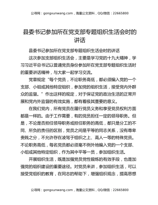 县委书记参加所在党支部专题组织生活会时的讲话