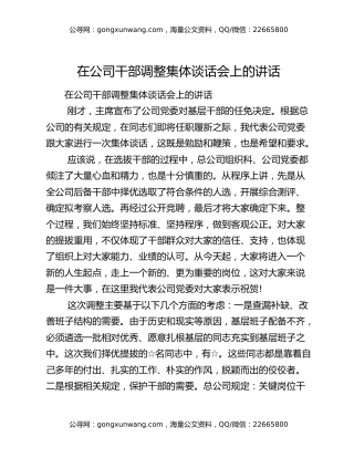 在公司干部调整集体谈话会上的讲话