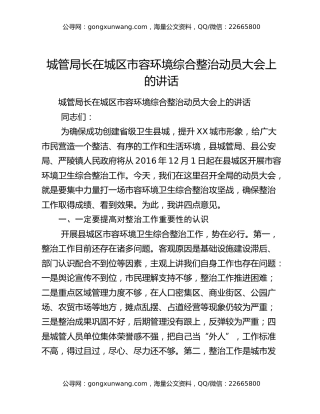 城管局长在城区市容环境综合整治动员大会上的讲话