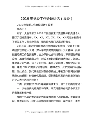 2019年党委工作会议讲话（县委）4011