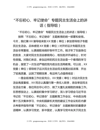 “不忘初心、牢记使命”专题民主生活会上的讲话（指导组）