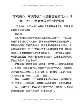 “不忘初心、牢记使命”主题教育专题民主生活会、组织生活会督导点评讲话通稿