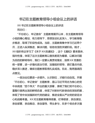 书记在主题教育领导小组会议上的讲话