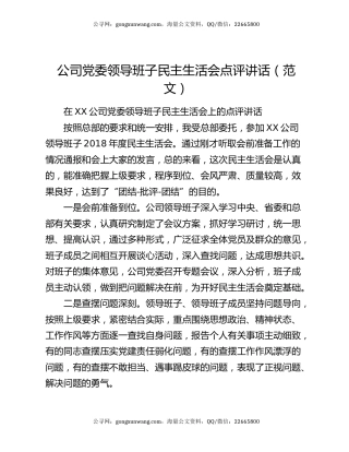 公司党委领导班子民主生活会点评讲话（范文）