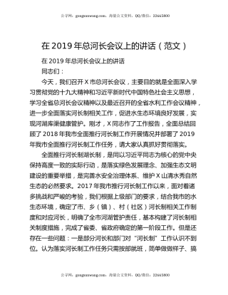 在2019年总河长会议上的讲话（范文）