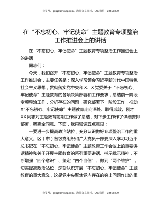 在“不忘初心、牢记使命”主题教育专项整治工作推进会上的讲话