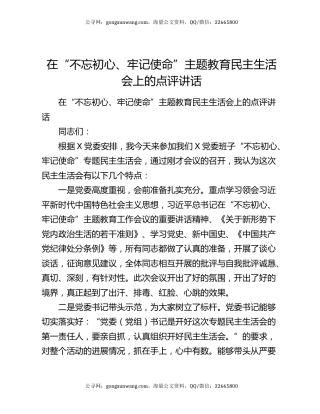 在“不忘初心、牢记使命”主题教育民主生活会上的点评讲话7464