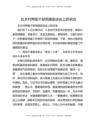 在乡村两级干部党建座谈会上的讲话
