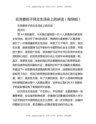 在党委班子民主生活会上的讲话（指导组）