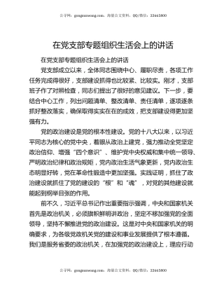 在党支部专题组织生活会上的讲话