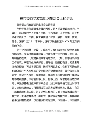 在市委办党支部组织生活会上的讲话