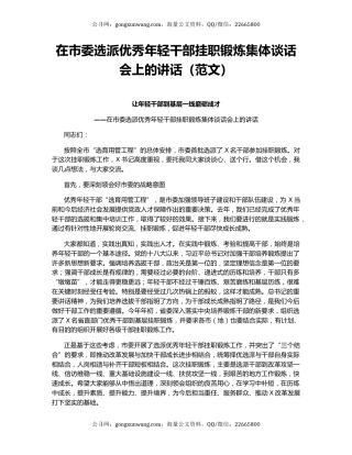 在市委选派优秀年轻干部挂职锻炼集体谈话会上的讲话（范文）