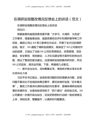 在调研巡视整改情况反馈会上的讲话（范文）
