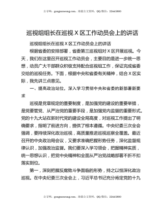 巡视组组长在巡视X区工作动员会上的讲话