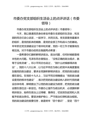 市委办党支部组织生活会上的点评讲话（市委领导）