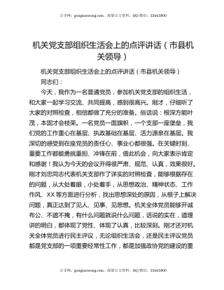 机关党支部组织生活会上的点评讲话（市县机关领导）