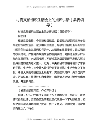 村党支部组织生活会上的点评讲话（县委领导）