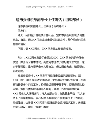 送市委组织部副部长上任讲话（组织部长）