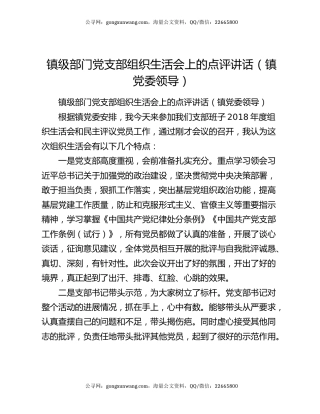 镇级部门党支部组织生活会上的点评讲话（镇党委领导）