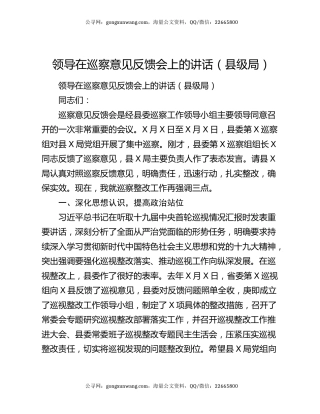 领导在巡察意见反馈会上的讲话（县级局）
