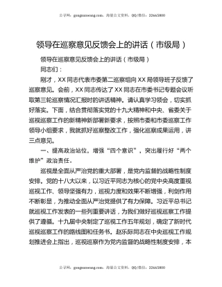 领导在巡察意见反馈会上的讲话（市级局）