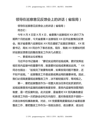 领导在巡察意见反馈会上的讲话（省级局）
