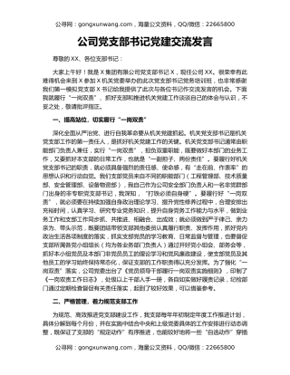 公司党支部书记党建交流发言