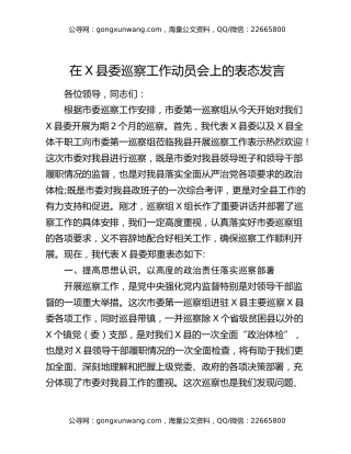 在X县委巡察工作动员会上的表态发言