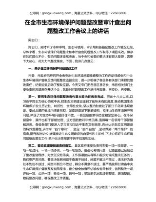 在全市生态环境保护问题整改暨审计查出问题整改工作会议上的讲话