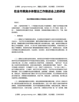 在全市黑臭水体整治工作推进会上的讲话