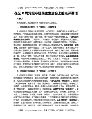 在区X局党组专题民主生活会上的点评讲话