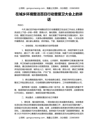 在城乡环境整洁百日行动暨爱卫大会上的讲话