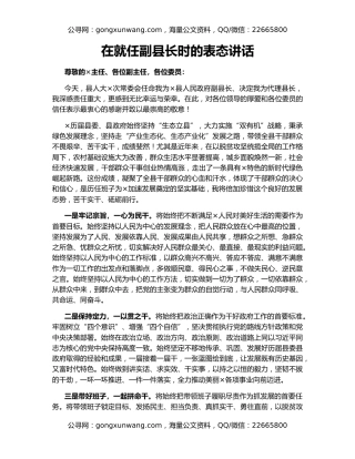 在就任副县长时的表态讲话