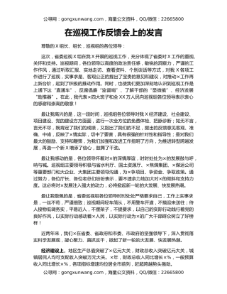 在巡视工作反馈会上的发言