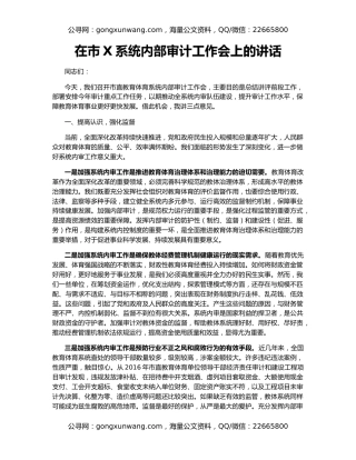 在市X系统内部审计工作会上的讲话