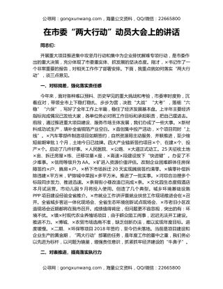 在市委“两大行动”动员大会上的讲话