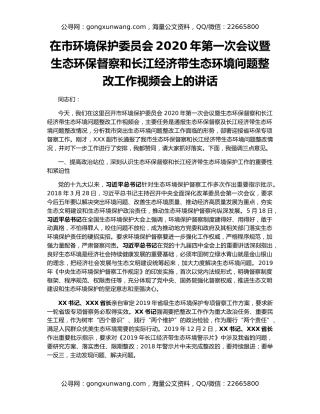 在市环境保护委员会2020年第一次会议暨生态环保督察和长江经济带生态环境问题整改工作视频会上的讲话