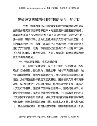 在省级文明城市验收冲刺动员会上的讲话