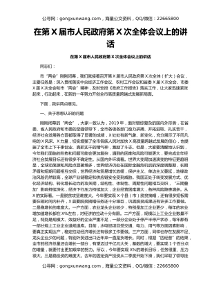 在第X届市人民政府第X次全体会议上的讲话
