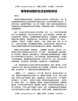 领导参加组织生活会时的讲话